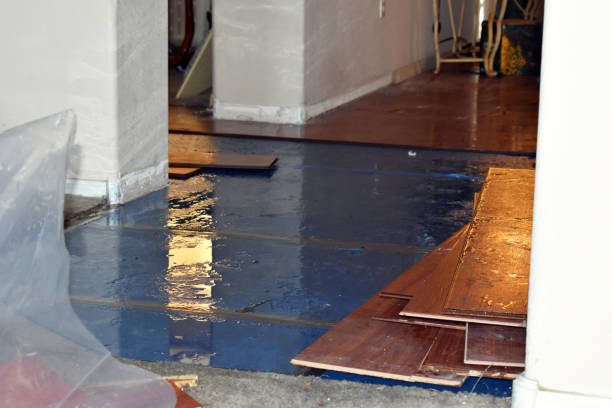 Professional Emergency Water Damage Restoration technician working in Middleport, NY